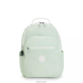 Kipling rucsac mare pentru laptop seoul de 15 inchi verde aerisit | Kipling Bags VJN46T473 femeilor